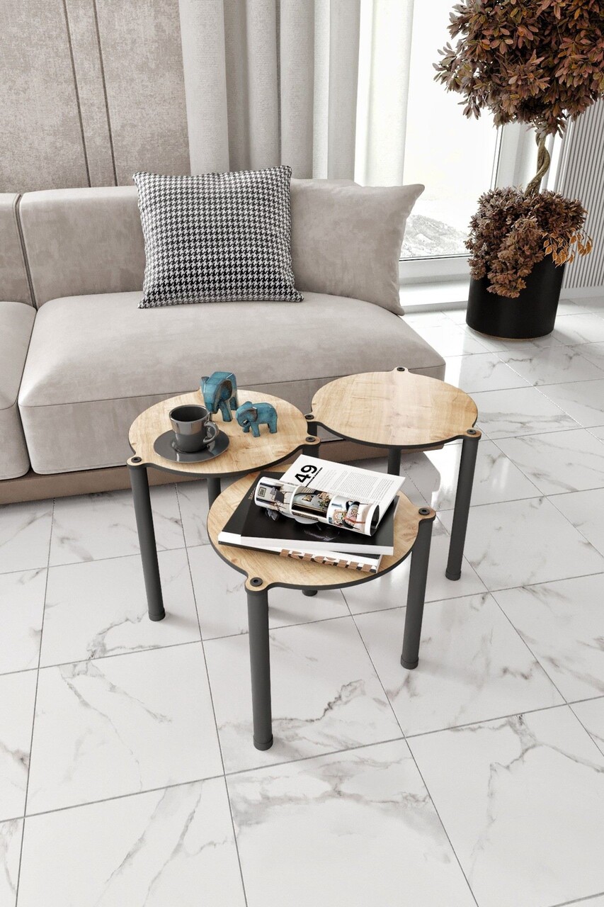 Set masute 3 piese, Hanah Home, Lavia 3, Stejar - imagine 5